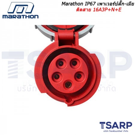 Marathon IP67 เพาเวอร์ปลั๊ก-เมียติดสาย 16A 3P+N+E