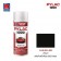 NIPPON PAINT สีทับหน้า สีดำเมท No.H66NH485